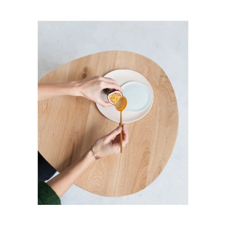 Dębowy stolik kawowy EGG – oryginalny design | Oakie Studio